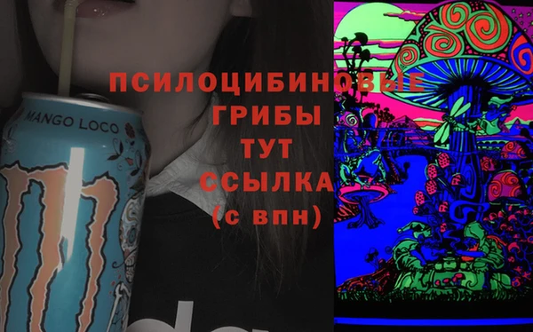 спайс Белокуриха