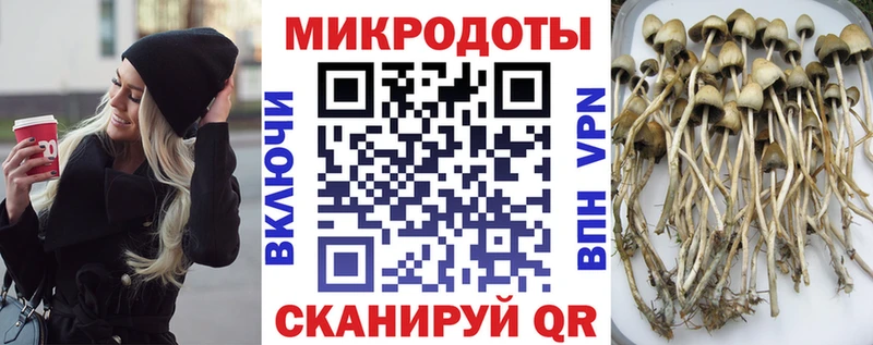 Галлюциногенные грибы мухоморы  Великие Луки 
